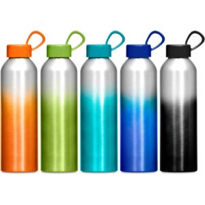 Altitude Island Aluminium Water Bottle – 650ml